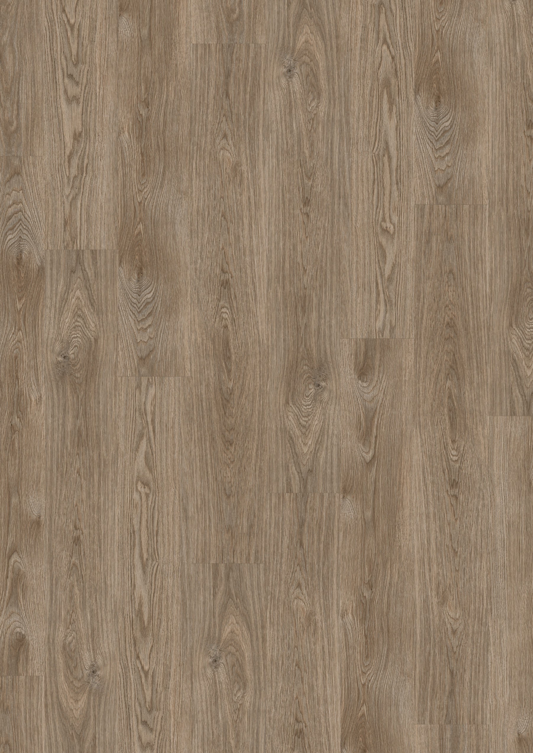 5201 Country Grey Oak