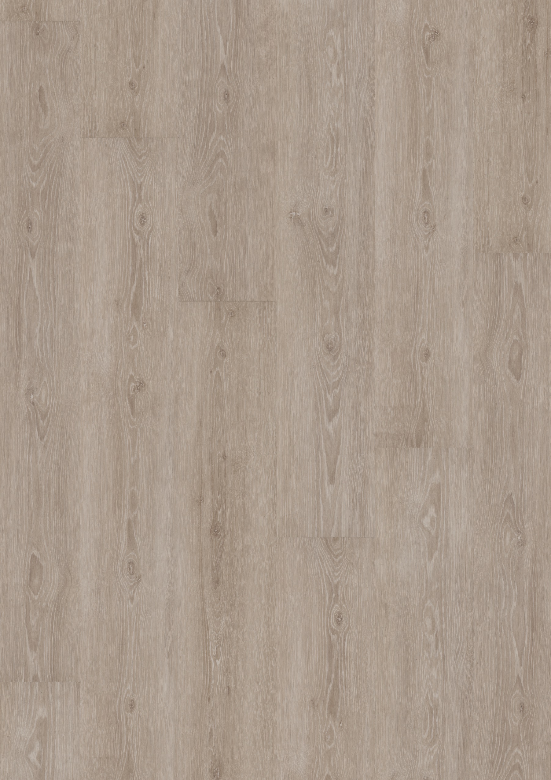 5303 Perfect Grey Oak