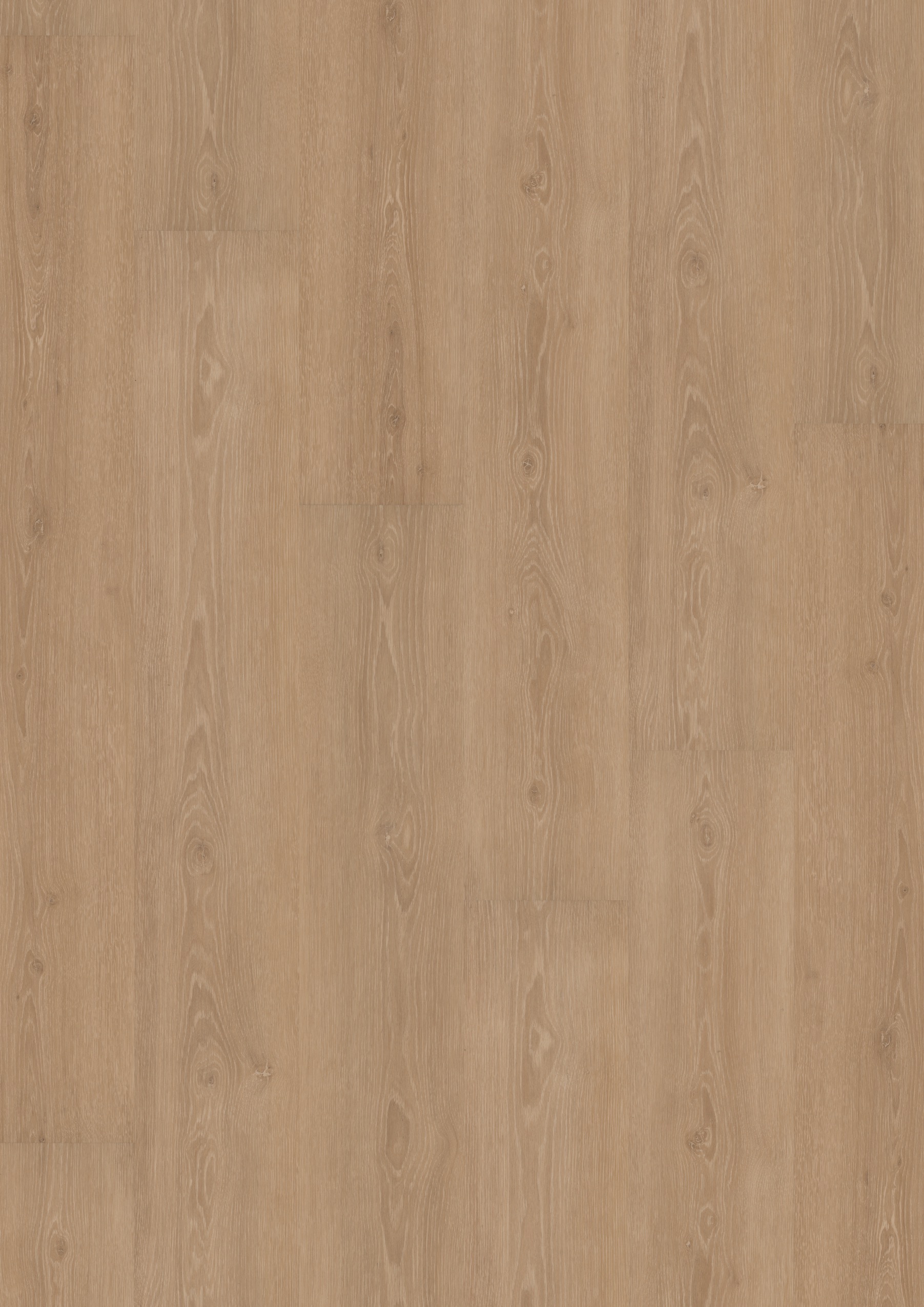 5305 Perfect Beige Oak