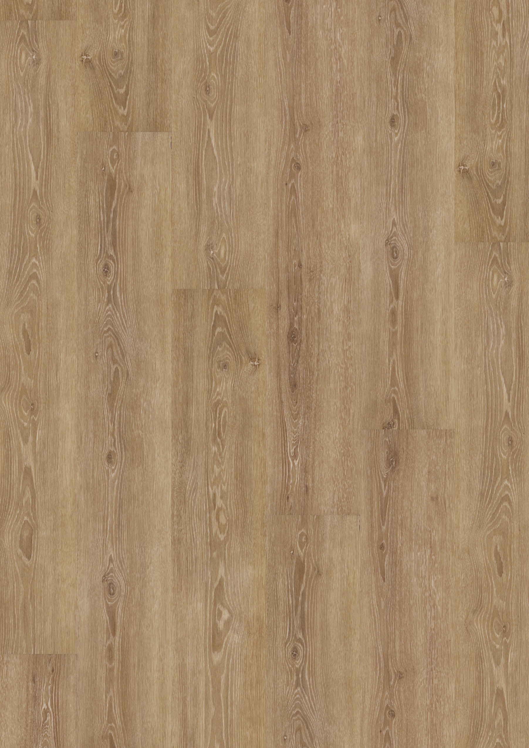 5308 Perfect Ivory Oak