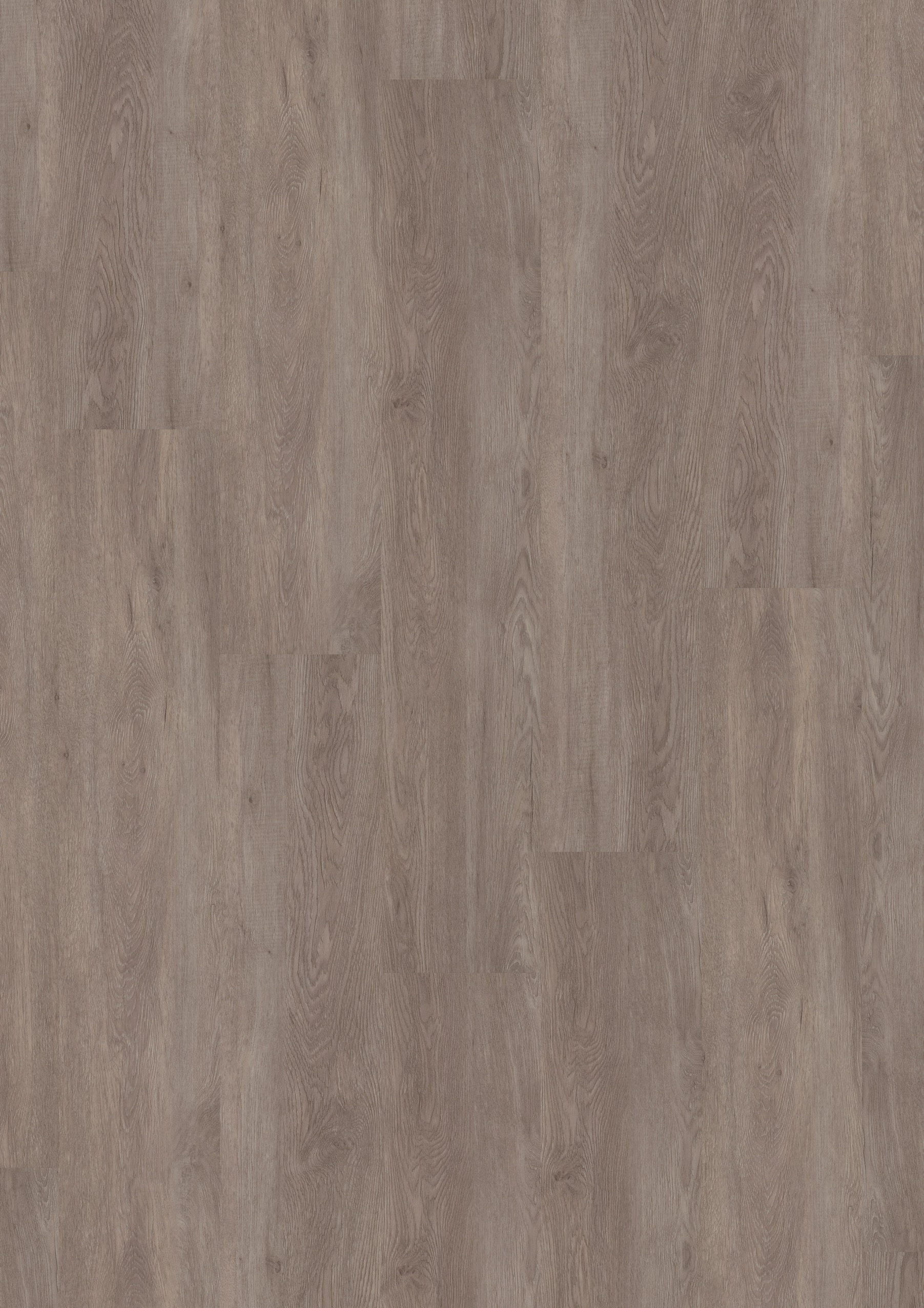 5425 African Grey Oak