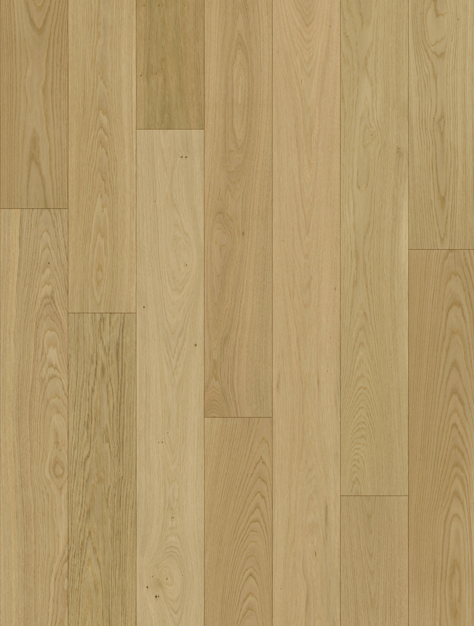 E0203 Eiche
