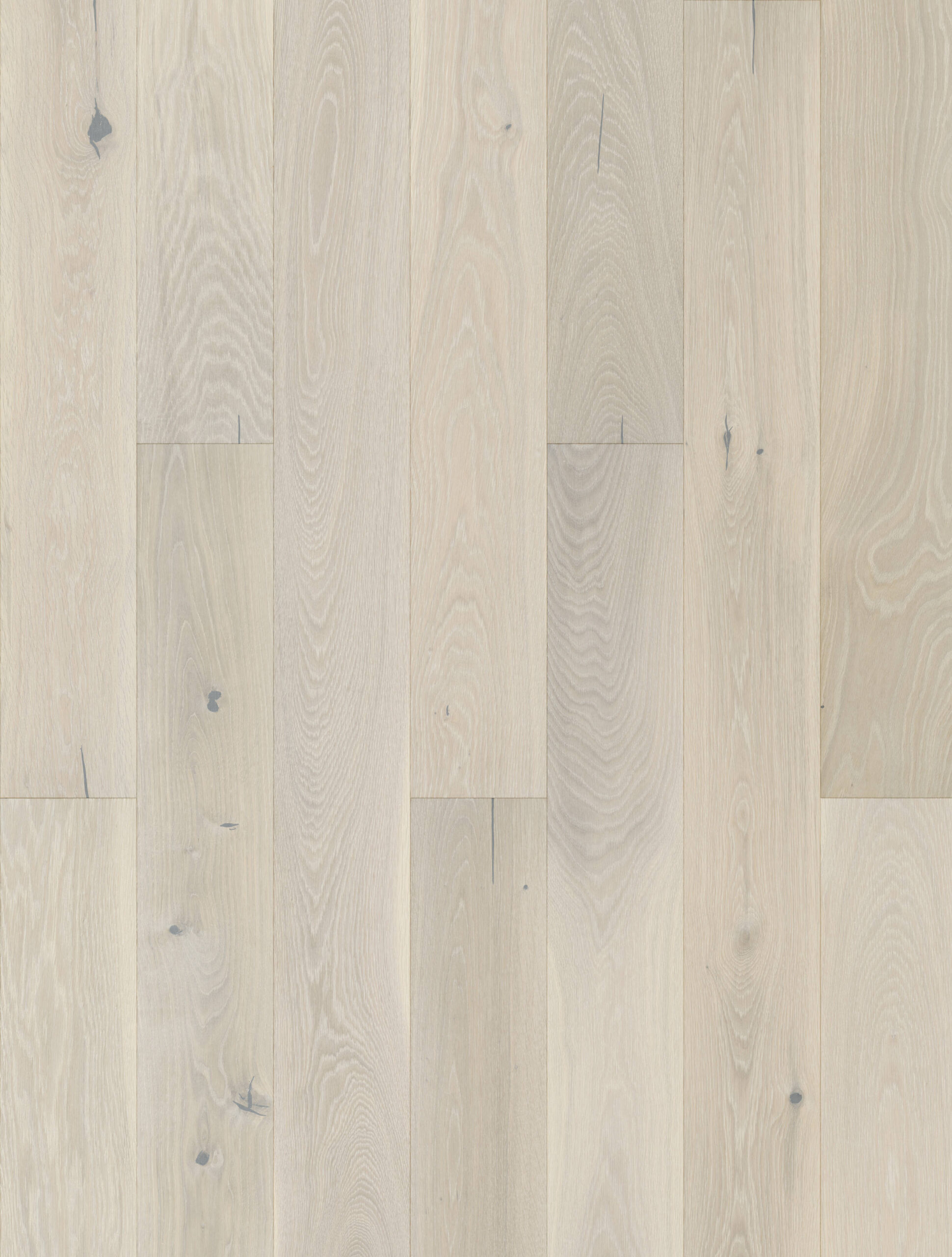 E6255 Eiche saphir
