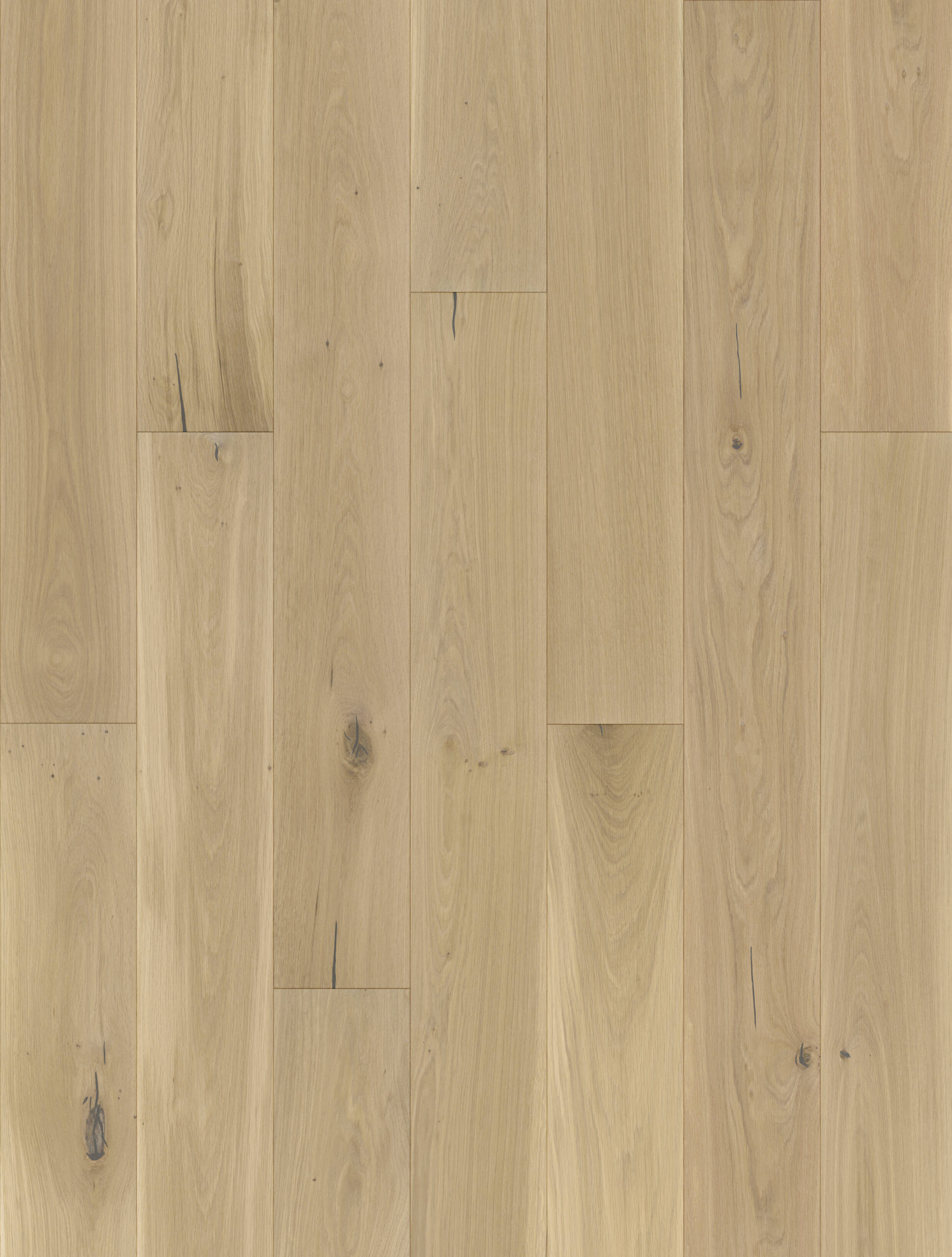 E6258 Eiche alpin