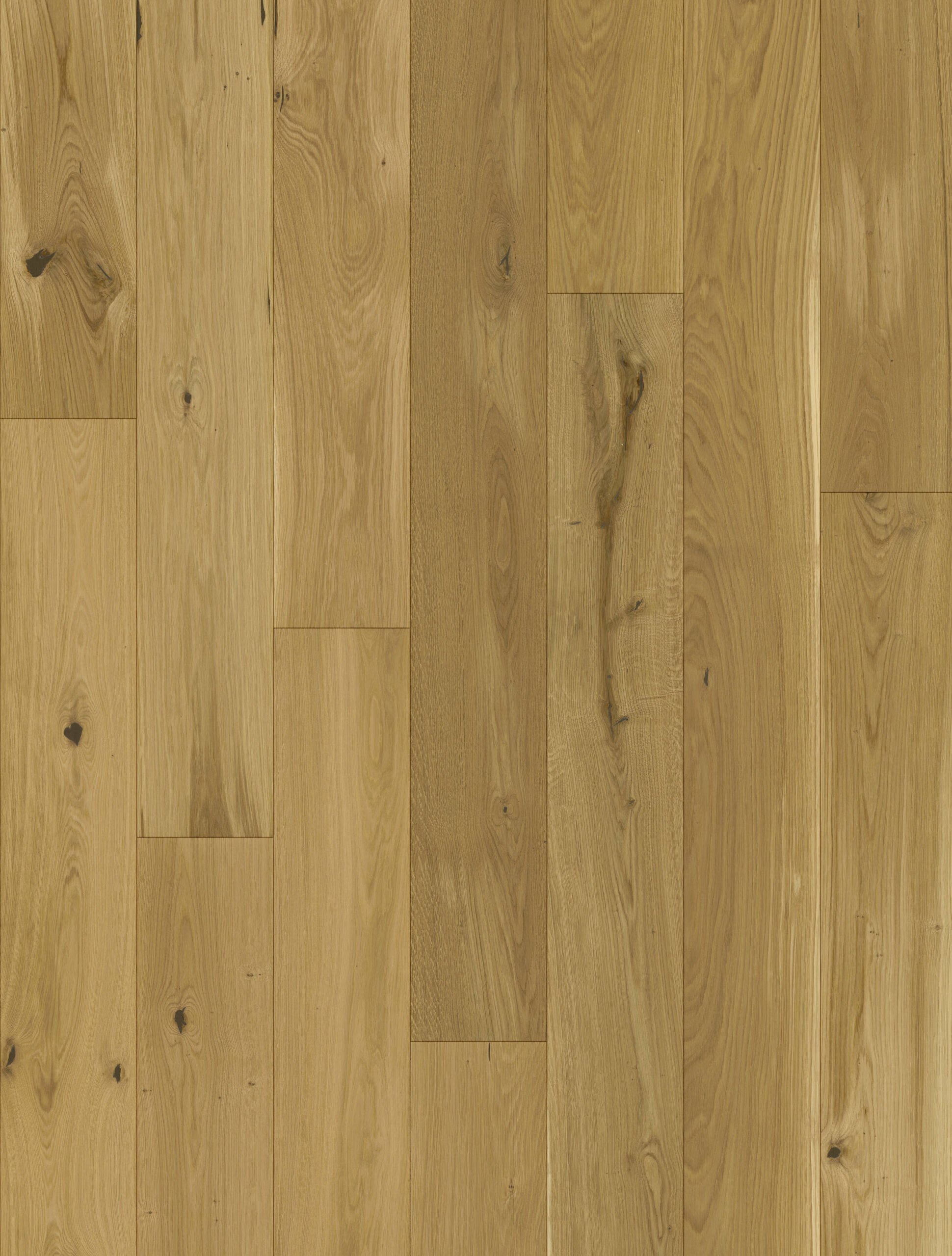 E6260 Eiche